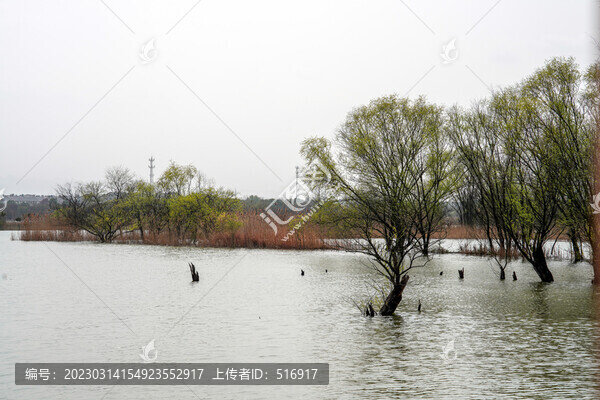濕地