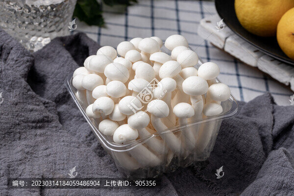 海鮮菇