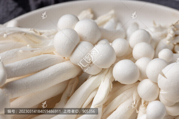 海鮮菇