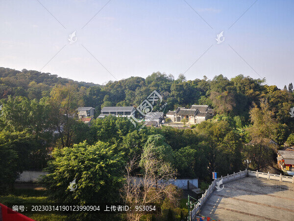 園林景色