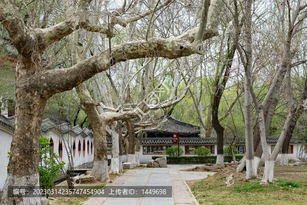 百脈泉公園