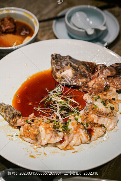 清蒸龍膽斑石斑魚海鮮美食