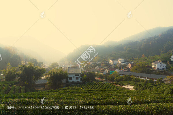 山景