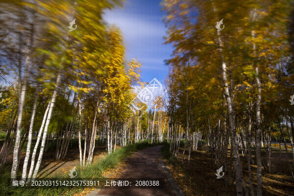 延時(shí)攝影