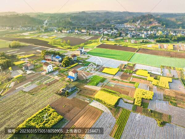 希望的田野