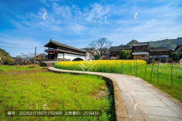 湖南通道平坦侗寨鄉(xiāng)村美麗風(fēng)光