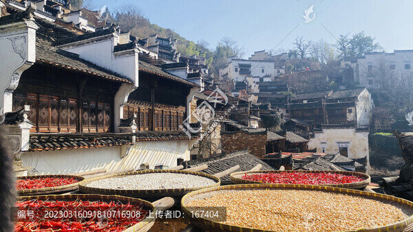 篁嶺曬秋