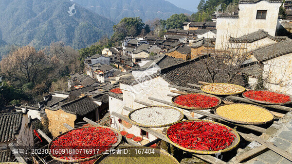 篁嶺曬秋