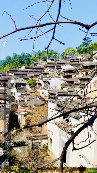 篁嶺山村