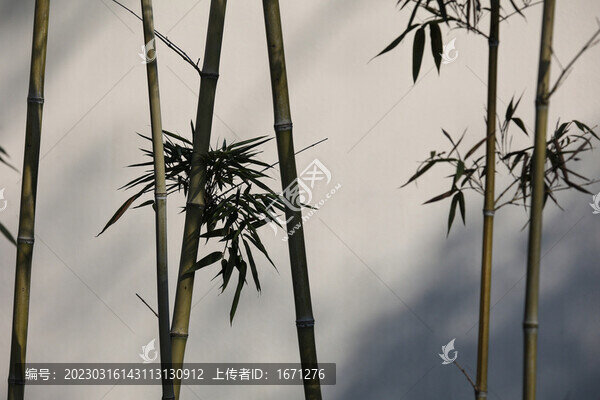 水墨竹葉