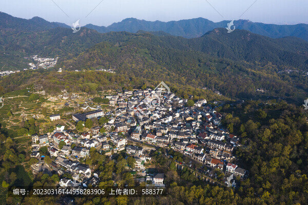 杭州西湖龍井產(chǎn)地翁家山茶園