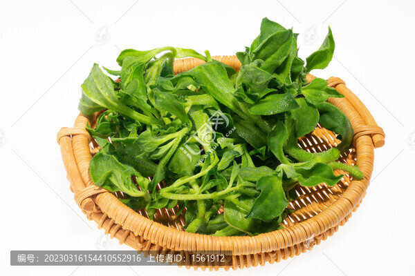 蔬菜冰菜