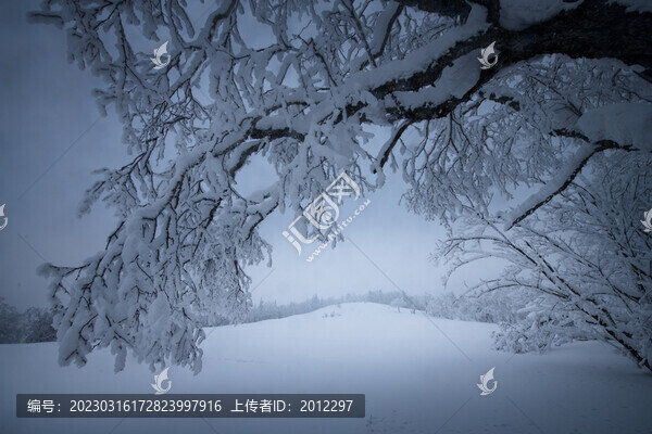 雪鄉(xiāng)