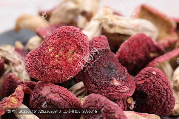 山貨