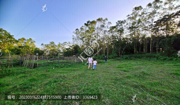 家鄉(xiāng)甘子元田園風(fēng)光
