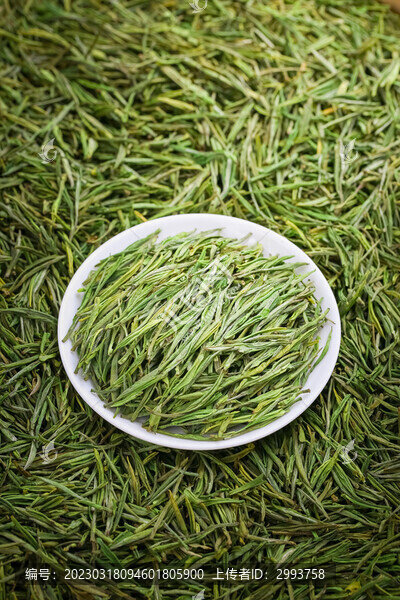 安吉白茶茶葉