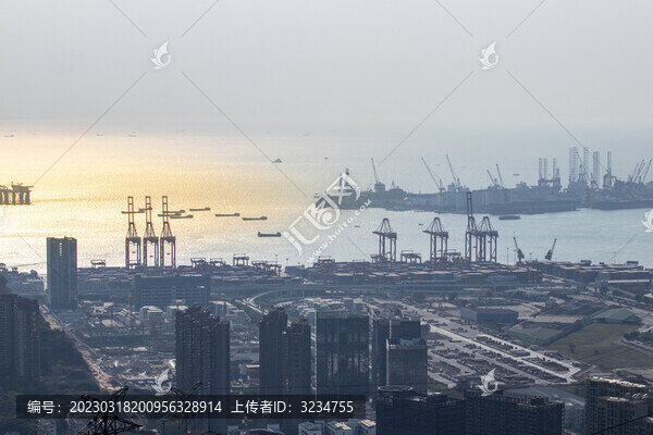 深圳灣蛇口