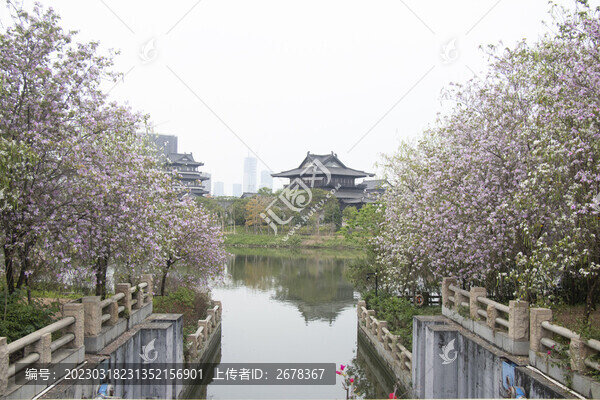 春夏花瓣
