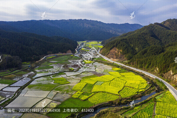 油菜花田