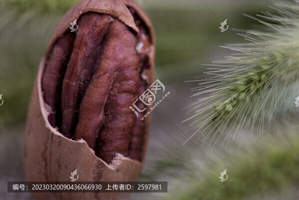 碧根果