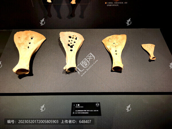 古代卜骨