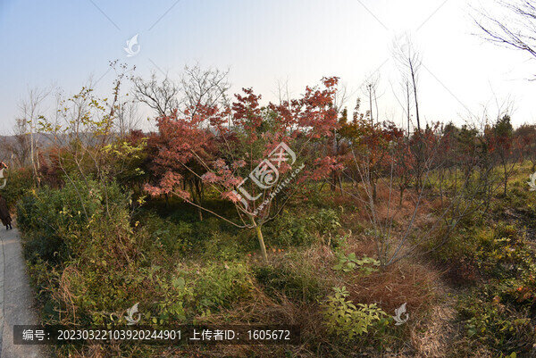 棲霞山風(fēng)景