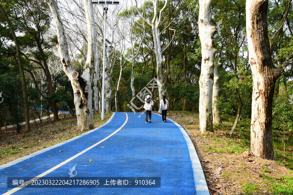 公園道
