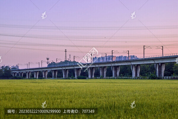 中山南朗崖口村水稻田風(fēng)光