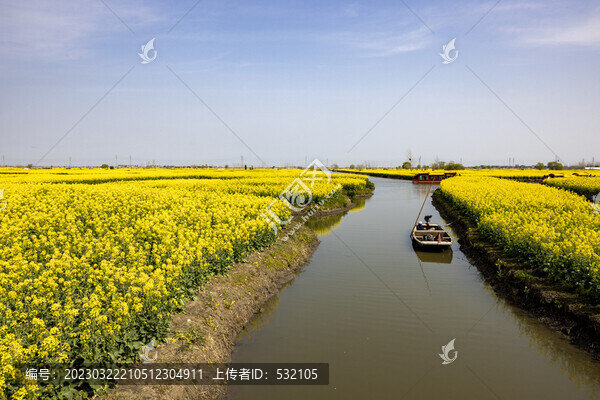 興化千垛油菜花高清大圖