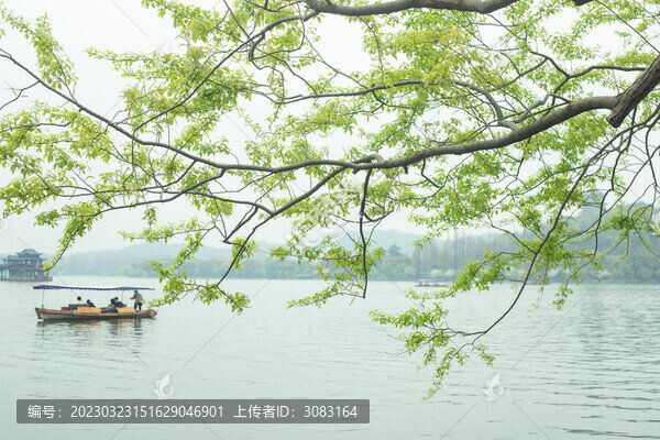 杭州西湖的一處場景