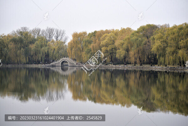 湖邊的樹影長堤與湖面倒影