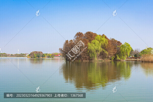水景