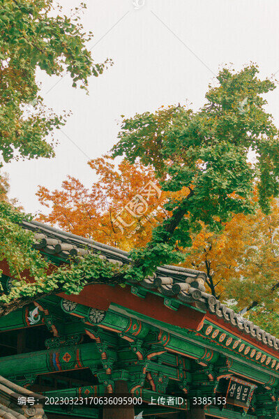 公園一角