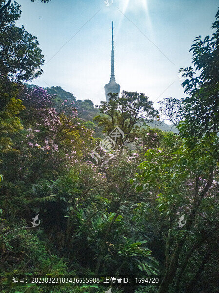 雨霽