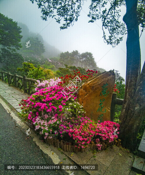 萬(wàn)花屏霧里看花