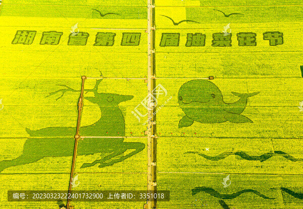 湖南省第四屆油菜花節(jié)
