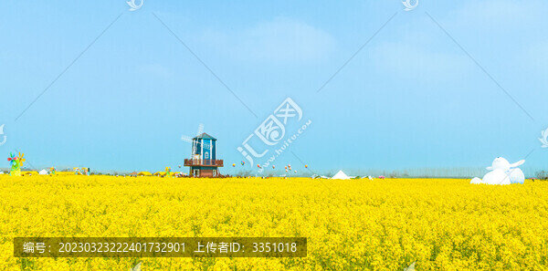 湖南省第四屆油菜花節(jié)