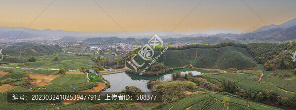 杭州西湖龍井龍塢茶園航拍