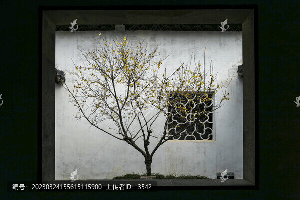 獅子林