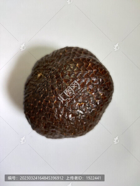 蛇皮果特寫