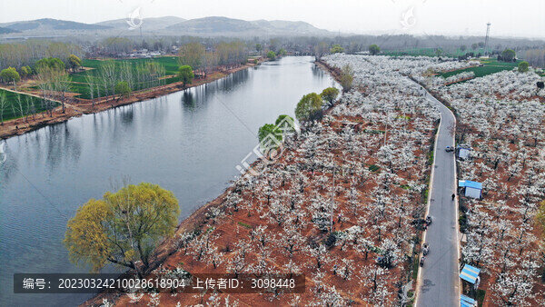 劉村古梨園