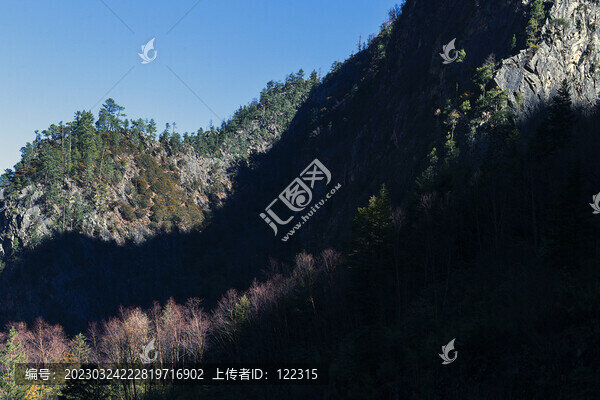 深山老林