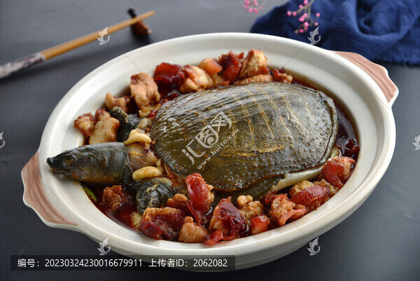 甲魚窩骨筋