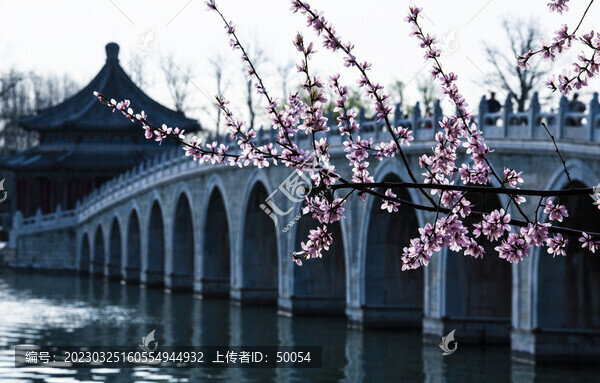 頤和園十七孔橋春色