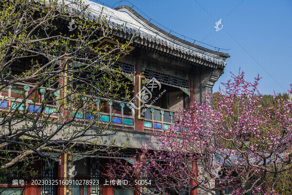 梅花古建筑