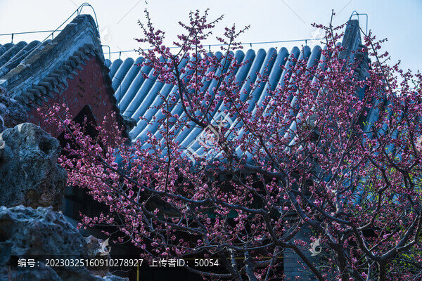 梅花古建筑