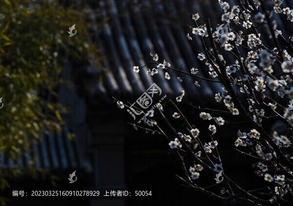 梅花古建筑