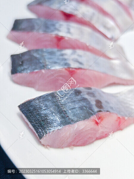藍(lán)點(diǎn)馬鮫魚