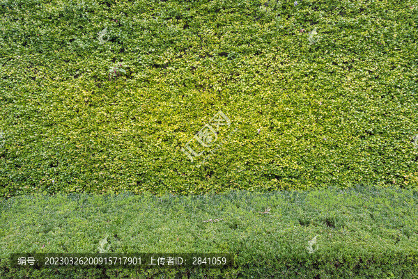 中國(guó)長(zhǎng)沙天心閣公園風(fēng)景