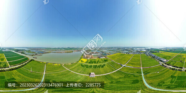 同里北聯(lián)村油菜花VR全景圖